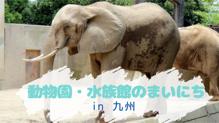 動物園・水族館のまいにち in 九州